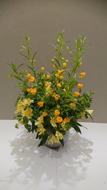 200225.JPG