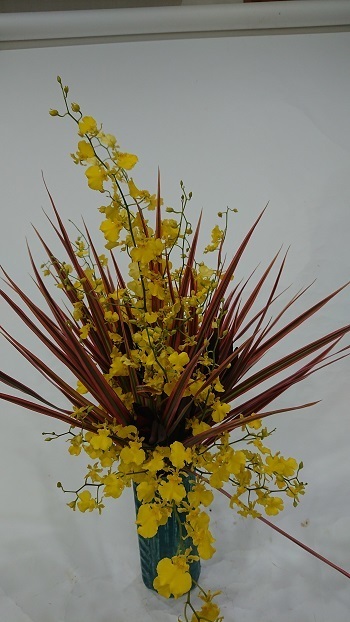 2007241.JPG