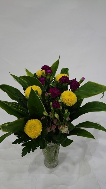 2008071.JPG