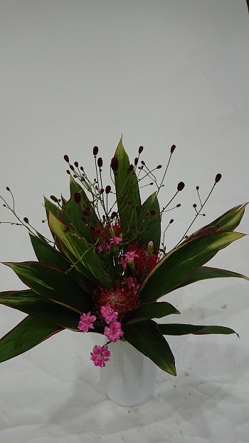 2008211.JPG