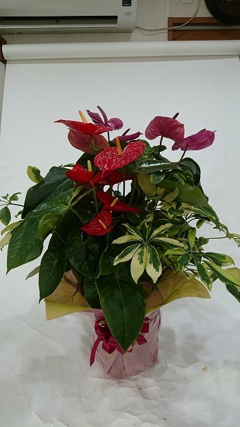 200829.JPG