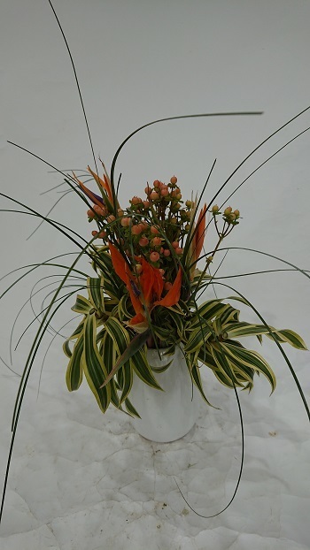 201023.JPG