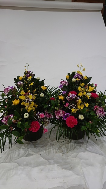 201029.JPG