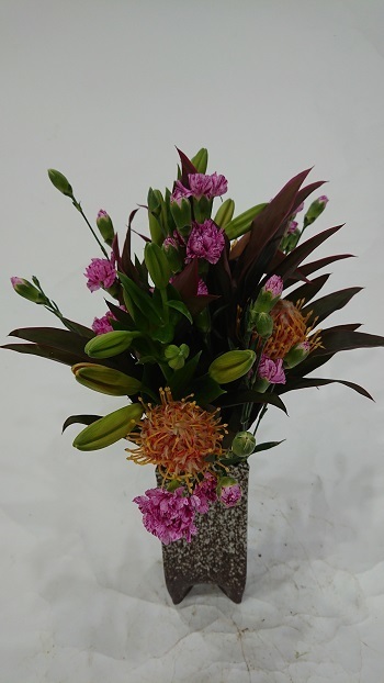 2011131.JPG