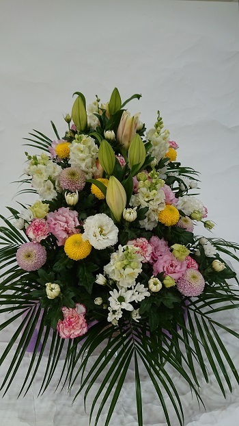 201119.JPG