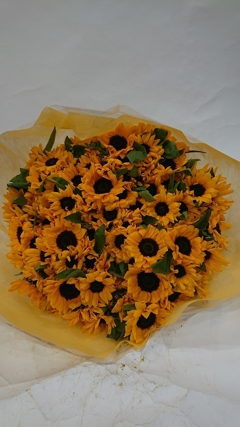 201224.JPG