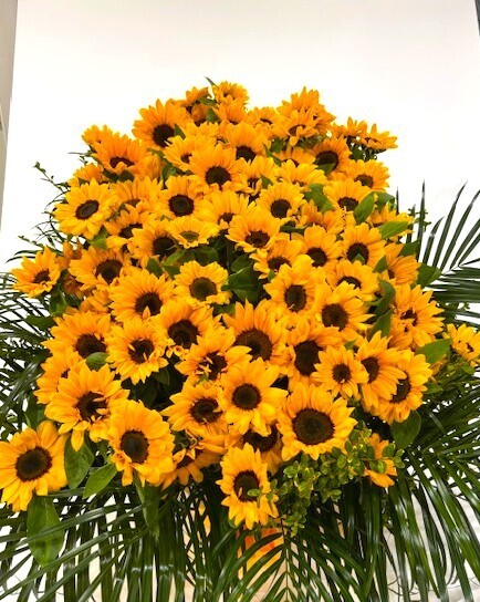 250403.jpg