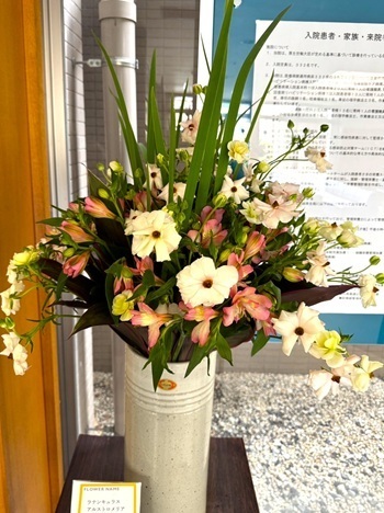 2504111.jpg